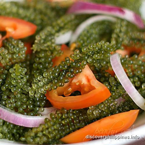 Lato (Sea Grapes) — Siquijor